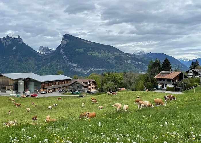 Nature Escape In Aeschi, Close To Interlaken * Aeschi Bei Spiez